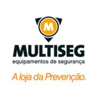 multiseg